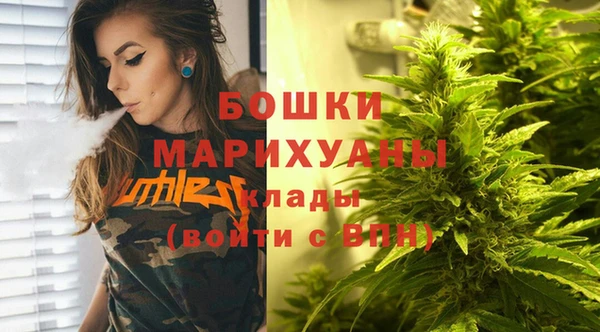 метадон Лагань