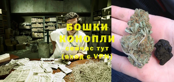 эйфоретик Ладушкин