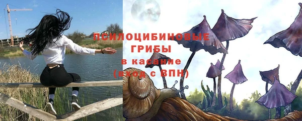 эйфоретик Ладушкин