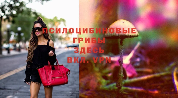 эйфоретик Ладушкин