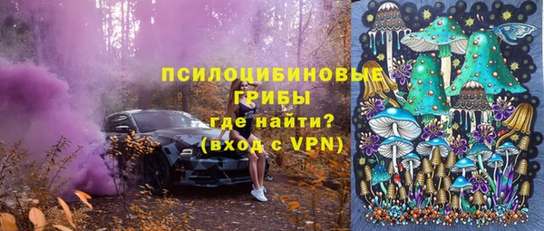 эйфоретик Ладушкин